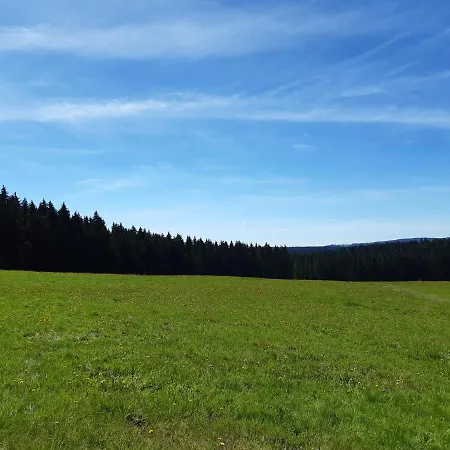 Rieger Apartment Braunlage