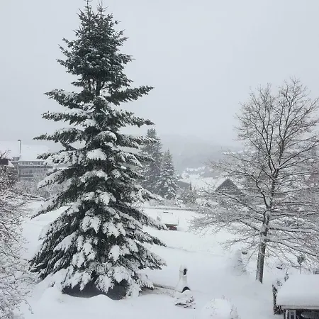 Rieger Apartment Braunlage