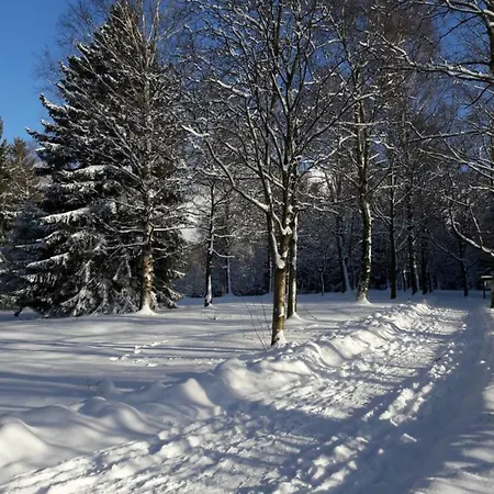 Rieger Braunlage